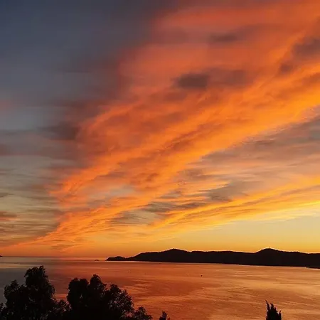 Villa Splendide Vue 180° A 500 M De La Le Lavandou