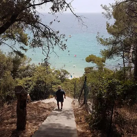 Splendide Vue 180° A 500 M De La *