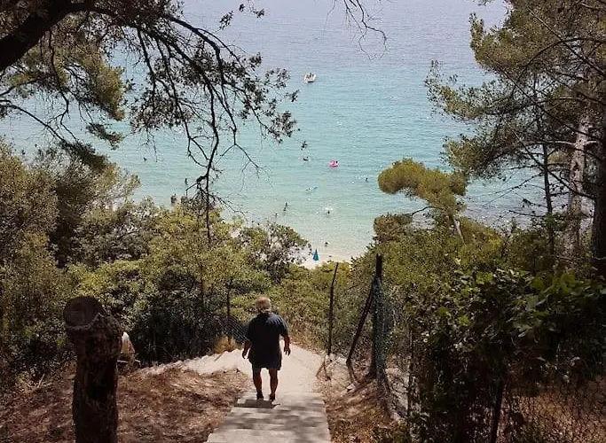 Splendide Vue 180° A 500 M De La *